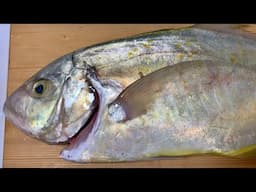 Goldspotted Trevally
