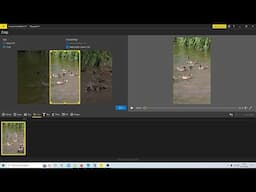 Icecream Tutorial: How Create Portrait Videos From Landscape Videos  For YouTube Shorts.