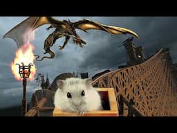 Hamster with Real Dragon  in Epic Roller Coaster x Minecraft