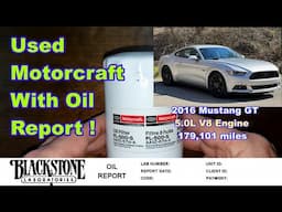 Motorcraft Oil Filter FL500S Cut Open With Oil Analysis
