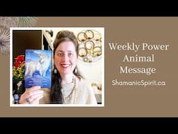 May 31-June 6 2025: Weekly Power Animal Message And Crystal Healing Talisman. Coyote symbolism