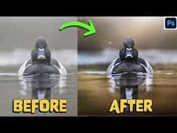 Photoshop like a PRO