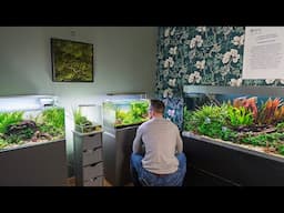 HEALTHY WATER KEEPING + BIG UPDATES (4K)