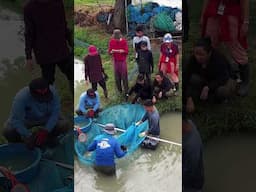 They Were Taught to Catch Fish in Their Immersion Program #shorts #shortvideo #viralvideo