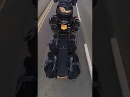 Ultimate Suspension Test: Speed Bumps Showdown