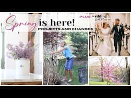 I'm Home! 😊😊 Spring Home Projects ~ Spring Gardening