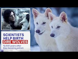 Scientists Create REAL Dire Wolves After 13,000 Years Of Extinction - World's 1st "De-Extinction"