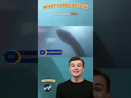 Alasmasaurus: The Real-Life Sea Monster!
