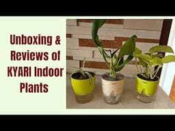 Unboxing & Reviews of KYARI Indoor Plants||Part-2 #indoorplants #plantlover #shortsvideo#houseplants