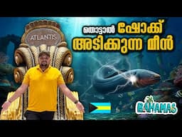 EP#6 മീനെ തൊട്ടാൽ അപ്പൊ ഷോക്ക് അടിക്കും ⚡ Bahamas 🇧🇸
