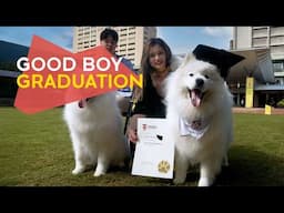 Graduation day for our UNSW dogs, Jasper & Luka