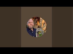 Ben Hamilton Anderson -David Austin & Rose Expert is live