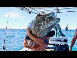 MONTEBELLO Island Australia Fishing
