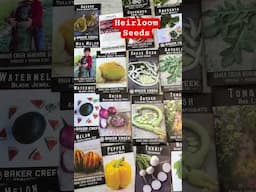 Heirloom Seeds For Florida Garden #shorts #gardeningideas #floridagardening