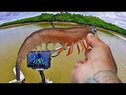 How To Catch A Megalodon…