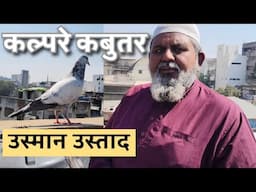 Kalpare Kabutar ki Pehchan aur Udaan | Usman Ustaad Ke Kalpare Kabootar Ahmedabad Gujarat
