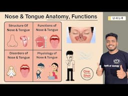 Nose Anatomy | Nose functions & Disorders | Tongue Anatomy | Tongue functions & disorders #sensory