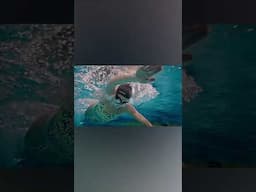 The TOP Goggles of 2025 Compared Which is Best for You