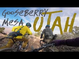 Utah’s Slickrock Playground | Mountain Biking Gooseberry Mesa
