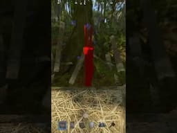 vine tree 2x2 footprint for rust