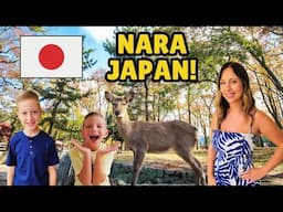 Day in Nara, Japan🦌 Bowing Deer, Temples & The Best Food!