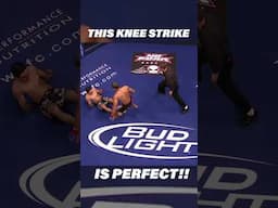 This Knee Knockout is PERFECT #mma #shorts