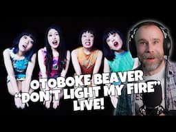 THIS IS MENTAL! Otoboke Beaver - "Don't Light My Fire" (LIVE) | REACTION