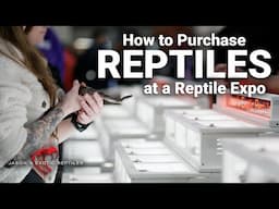 How to Prepare for a Reptile Expo (BUYER’S GUIDE) | Must-Know Tips Before You Go!