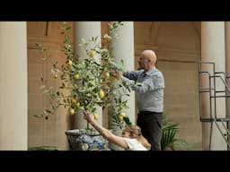 Porcelain Garden: Vladimir Kanevsky at The Frick Collection