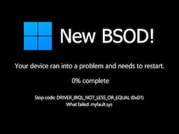 New Windows 11 BSOD! (Build 26120.3653)
