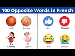 100 Opposite Words in French | Common Antonyms in French!