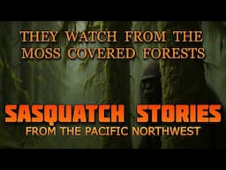 THEY WATCH FROM THE MOSS COVERED FORESTS - SASQUATCH ENCOUNTERS FROM THE PACIFIC NORTHWEST