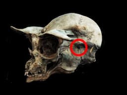 Most Mysterious Archaeological Finds