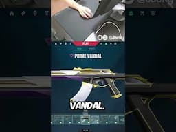 Valorant $1,000 Skin Collection