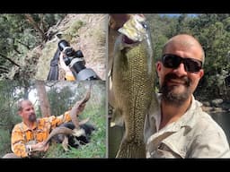 Billies and Bass