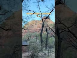 Hike Angels Landing with me!! #angelslanding #zionnationalpark #hiking #travel