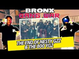 Bronx Gang War - The End Of Nesty Gzz & The 800 YGz