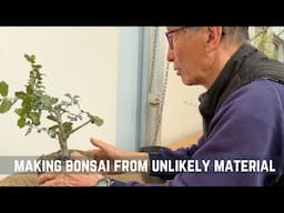 Making Bonsai from Unlikely Material