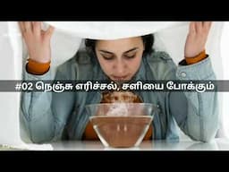 இந்த ஒரு இலை போதும் – சளி, இருமல், ஜுரம் எல்லாம் பறந்து போகும்! | கற்பூரவள்ளியின் அதிசய நன்மைகள்