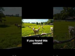 Steps to Grow a Successful Goat Farm!