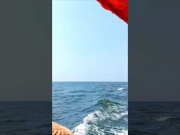 Goa tourism ❤️Dolphin Ride In Goa #travel #trending #goa #viralvideo #shorts #goabeaches