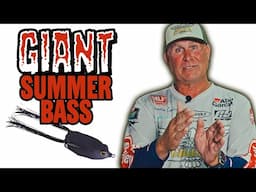 You Wanna Catch GIANT Summer Bass?! Here's TWO Places To Find Them