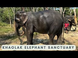Khao Lak Elephant Sanctuary - A Magical Experience!