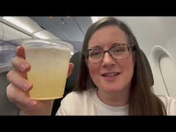 Travel Vlog:  Las Vegas and JetBlue Mint JFK - Las Vegas