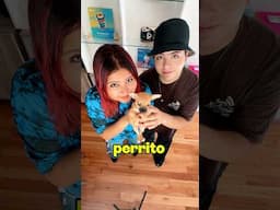 ELIJAN EL NOMBRE DEL PERRITO @SoyTioNestor