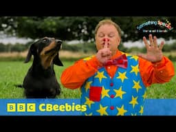 Mr Tumble’s Calm Exercises 🌳 | Relaxing Fun for Toddlers with CBeebies