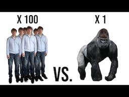 100 People VS. 1 Gorilla - Who Would Win?