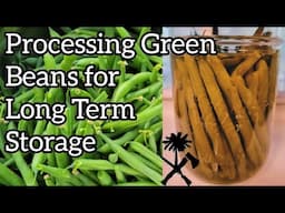 Pressure Canning Green Beans: Long Term Food Storage