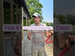 This Old School Tomato Cage is Super FAST and CHEAP! #gardening #gardeningtips #garden #tomato