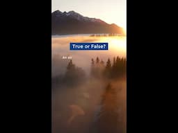 True or False | MzeroA